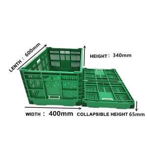 An unfolded green collapsible crate and a folded one.