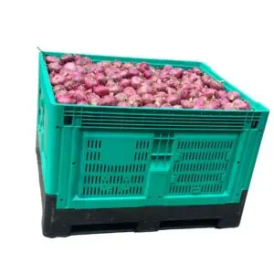 un bac à palettes repliable vert plein d'oignons