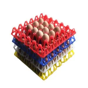 plastic egg trays stacked with eggs