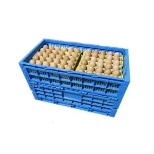 une boîte à œufs en plastique pliable bleue remplie d'œufs