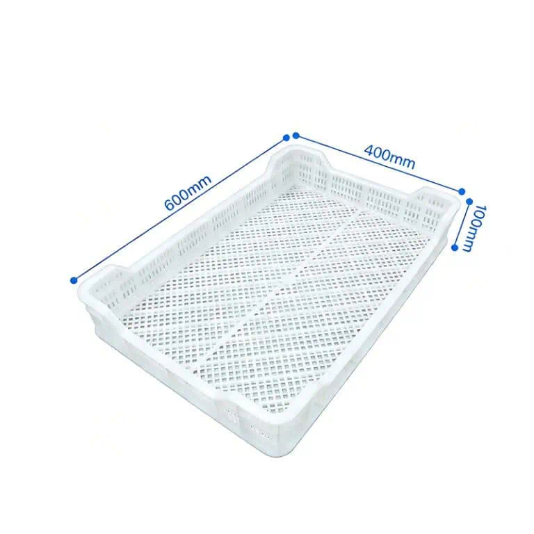 a whitle plastic seafood tray