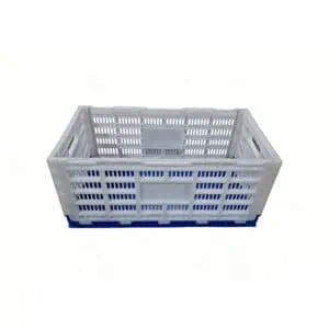 a white egg basket that can hold 300eggs