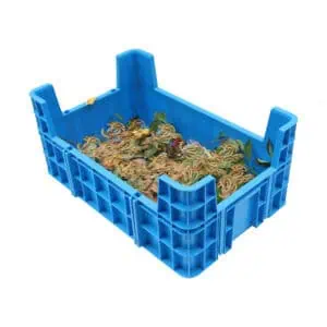 a blue insect rearing tray