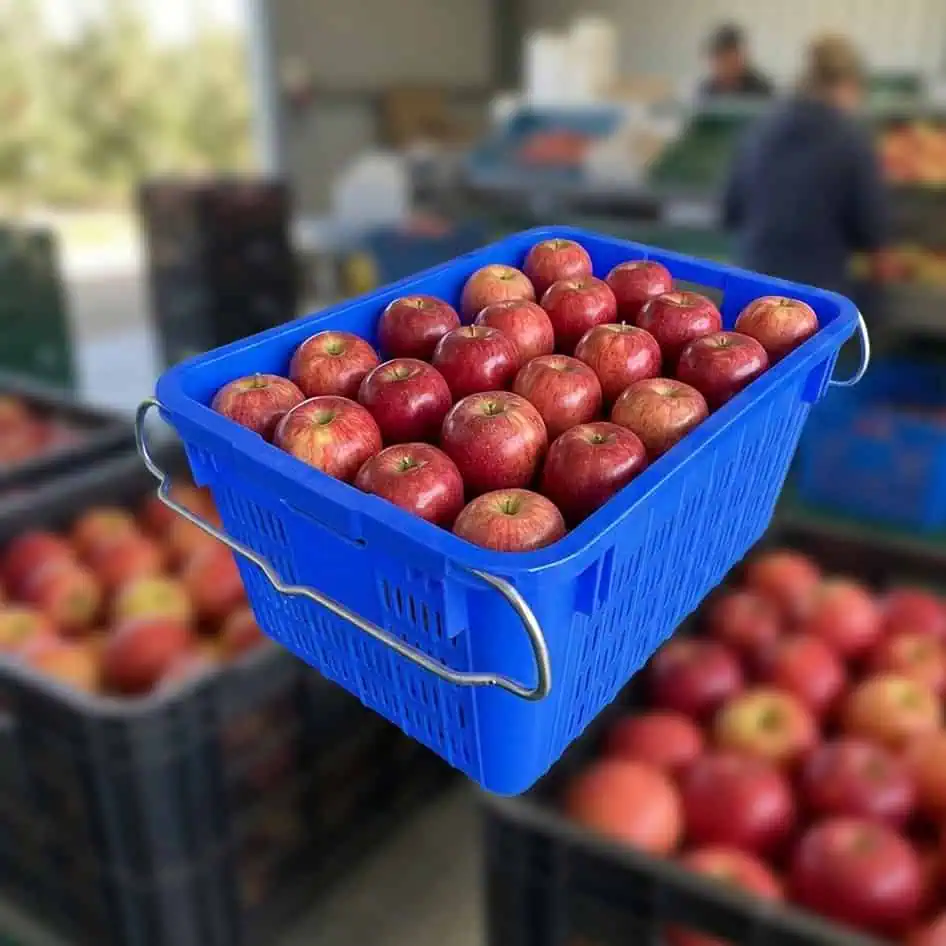 a blue plasitc crate with apples