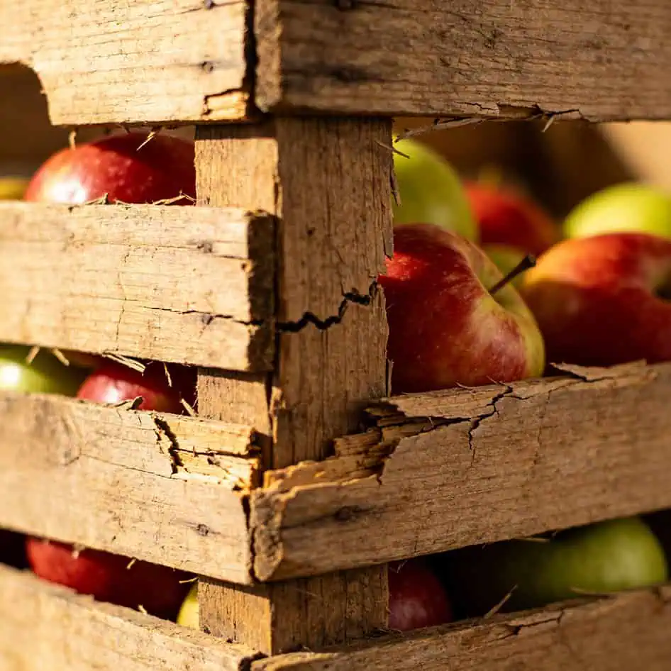 A splintered wooden crate